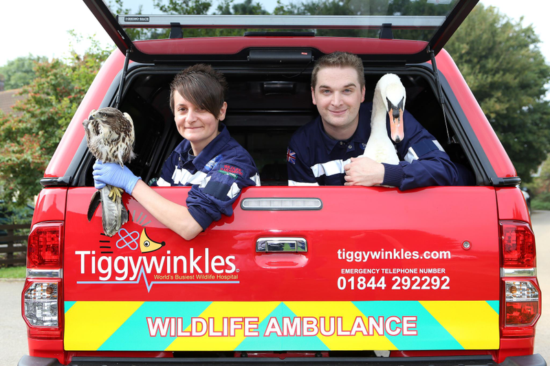 Illustration for article titled Tiggywinkles To The Rescue With New Hilux Ambulance